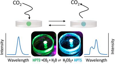 Flexible sensor patch for continuous carbon dioxide monitoring